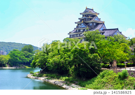 岡山 岡山城 岡山 岡山城 141586925