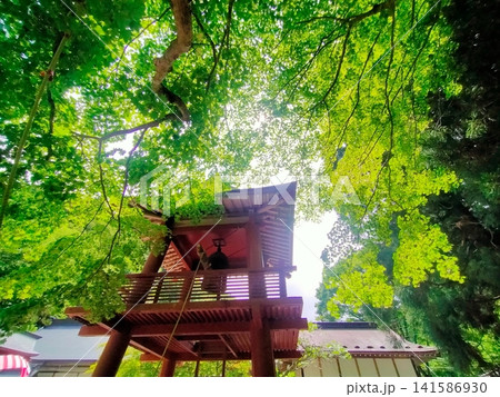 初夏の柳津虚空蔵 初夏の柳津虚空蔵 141586930