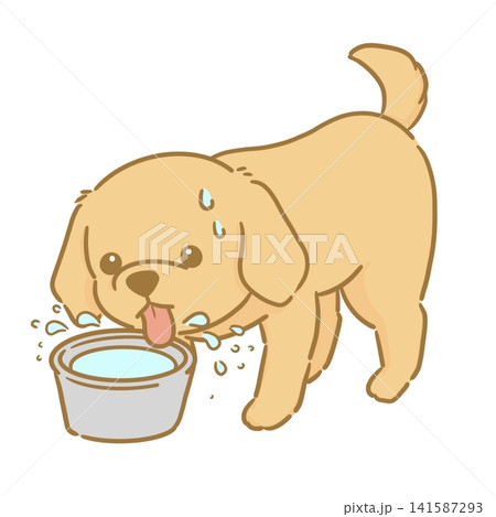 水をたくさん飲む茶色い犬の手描きイラスト　水を飲み過ぎる犬 141587293