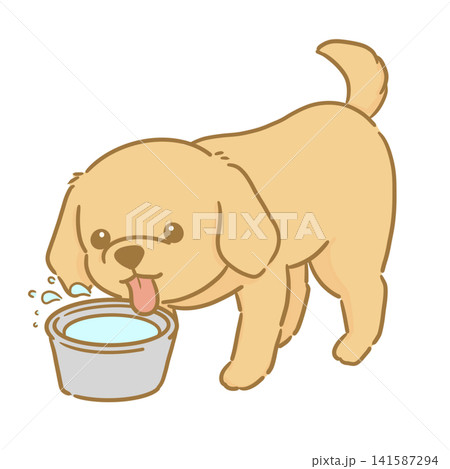 水を飲む茶色い犬の手描きイラスト シンプルで使いやすい挿絵イラスト 水を飲む茶色い犬の手描きイラスト シンプルで使いやすい挿絵イラスト 141587294
