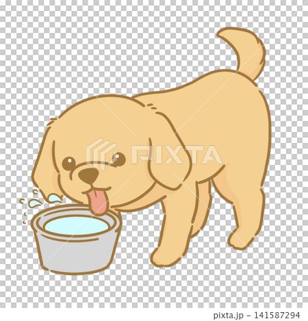 水を飲む茶色い犬の手描きイラスト シンプルで使いやすい挿絵イラスト 水を飲む茶色い犬の手描きイラスト シンプルで使いやすい挿絵イラスト 141587294