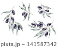 Green olive branches and black olives watercolor clipart composition featuring separate botanical elements for olive oil labels, food packaging, menus, branding, stationery and digital designs. 141587342