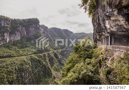 Dramatic Canyon Pass with Cliff-Hugging Walkway Carved into the Karst Formations of Wulong Geology Park, Chongqing Mountainous Landscape Dramatic Canyon Pass with Cliff-Hugging Walkway Carved into the Karst Formations of Wulong Geology Park, Chongqing Mountainous Landscape 141587567