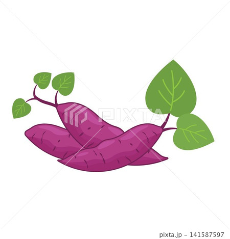 pile of purple sweet potato cartoon vector element design template 141587597