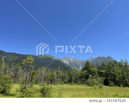 快晴の夏の上高地(上高地 ※長野県松本市、撮影時期:7月) 快晴の夏の上高地(上高地 ※長野県松本市、撮影時期:7月) 141587620