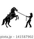 Silhouette woman handling a rearing equestrian horse 141587902