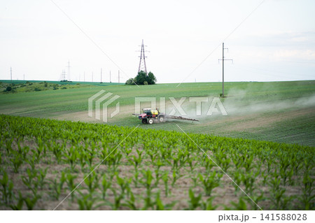Tractor applying herbicide or fertilizer to young crops on a rural field, enhancing yield and protecting plants Tractor applying herbicide or fertilizer to young crops on a rural field, enhancing yield and protecting plants 141588028