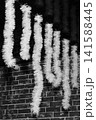 Christmas bright white tinsel decor light christmas background decorations object 141588445