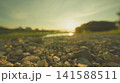 夕日に照らされる川 141588511