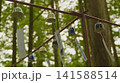 風鈴の揺れる風鈴 141588514
