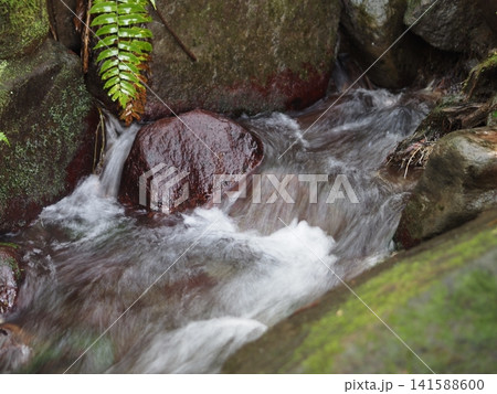 箱島湧水の水源 箱島湧水の水源 141588600