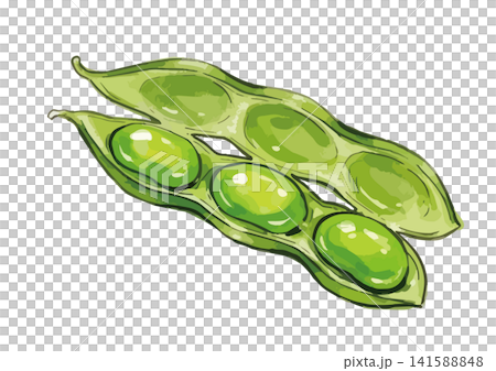 一幅令人垂涎欲滴的毛豆插圖 一幅令人垂涎欲滴的毛豆插圖 141588848