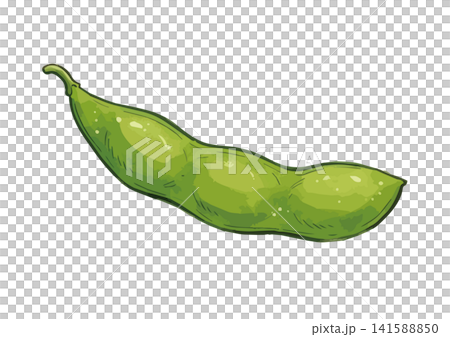 A mouthwatering illustration of edamame beans A mouthwatering illustration of edamame beans 141588850