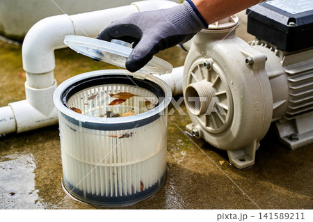 Pool pump filter basket being cleaned of fallen leaves and debris 141589211