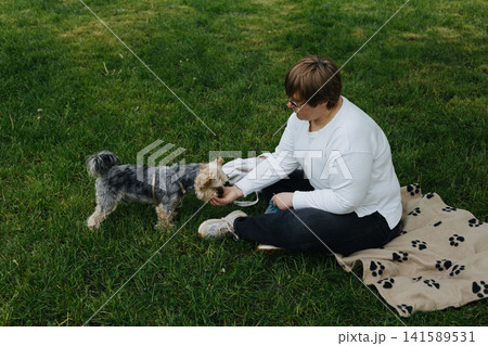 Mature woman feeding Yorkshire terrier doggy while sitting on grass in green city park. Outdoor lifestyle scene with pet owner bonding with small dog. Mature woman feeding Yorkshire terrier doggy while sitting on grass in green city park. Outdoor lifestyle scene with pet owner bonding with small dog. 141589531