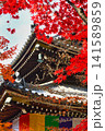 京都　今熊野観音寺　美しい秋の紅葉（京都府京都市東山区） 141589859