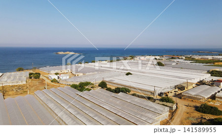 Coastal landscape with numerous greenhouses for intensive agriculture production near the sea under a clear sky Coastal landscape with numerous greenhouses for intensive agriculture production near the sea under a clear sky 141589955