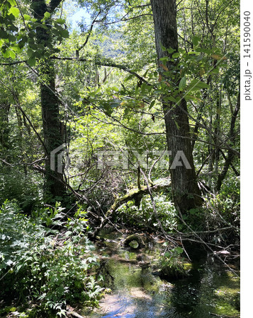 清水川その四 清水川その四 141590040