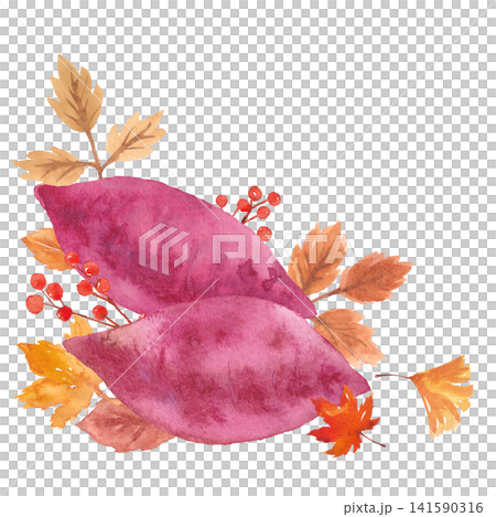 水彩紅薯畫框材料 水彩紅薯畫框材料 141590316