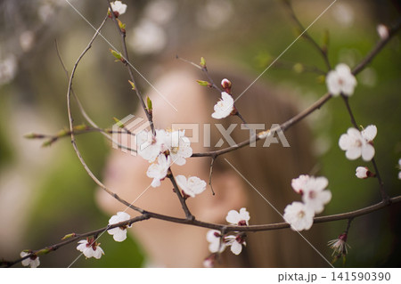 Woman with long brown hair partially obscured by blooming cherry blossom branches in a garden setting, soft focus on flowers and greenery in the background 141590390