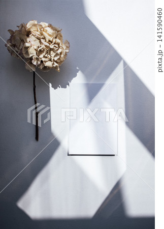 Dried flower arrangement with soft shadows cast on a textured wall, featuring a blank frame for design mockup, creating a serene and minimalist atmosphere Dried flower arrangement with soft shadows cast on a textured wall, featuring a blank frame for design mockup, creating a serene and minimalist atmosphere 141590460