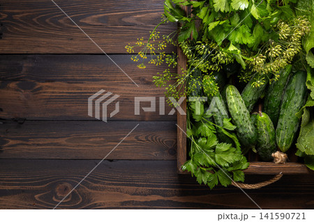 Fresh organic cucumbers dill parsley in rustic box Fresh organic cucumbers dill parsley in rustic box 141590721