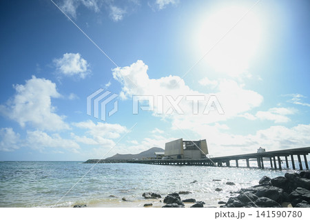 ハワイ　Makai Research pier 141590780