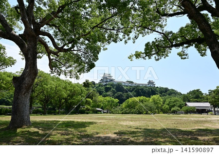 西の丸広場と天守閣(和歌山城) 西の丸広場と天守閣(和歌山城) 141590897
