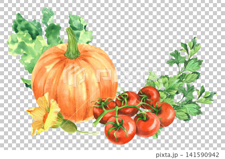 Pumpkin with the flower, lettuce, tomatoes and parsley. Watercolor illustration. Handmade art work. For packaging design, cards, cover, prints, product labels and fabric. Pumpkin with the flower, lettuce, tomatoes and parsley. Watercolor illustration. Handmade art work. For packaging design, cards, cover, prints, product labels and fabric. 141590942