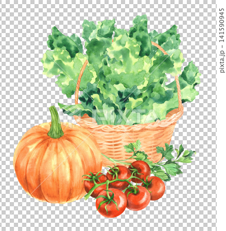 Pumpkin with the flower, lettuce, tomatoes and parsley. Watercolor illustration. Handmade art work. For packaging design, cards, cover, prints, product labels and fabric. Pumpkin with the flower, lettuce, tomatoes and parsley. Watercolor illustration. Handmade art work. For packaging design, cards, cover, prints, product labels and fabric. 141590945