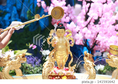 Bathing Buddha Festival Bathing Buddha Festival 141591642
