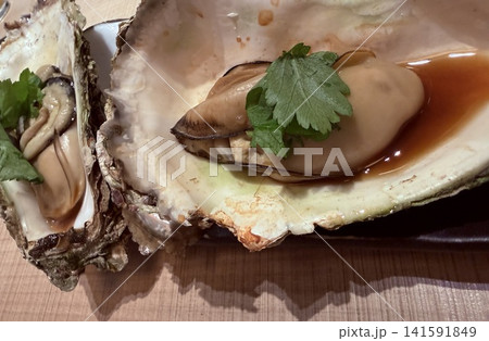 お皿に美しく盛り付けられた、牡蠣の網焼き(海鮮) お皿に美しく盛り付けられた、牡蠣の網焼き(海鮮) 141591849