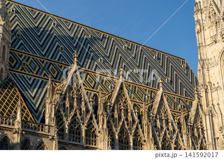 Intricate Gothic Architectural Details and Patterned Tiled Roof of St Stephen Cathedral in Vienna 141592017