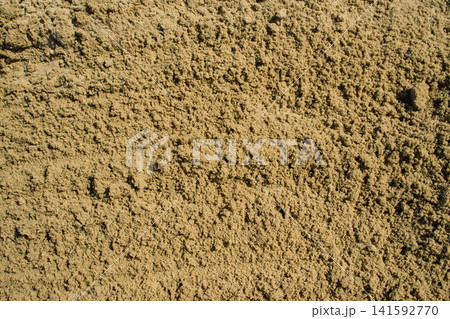 Close up shot of a uniform and clean yellow sand texture with fine granular details under direct daytime sunlight 141592770