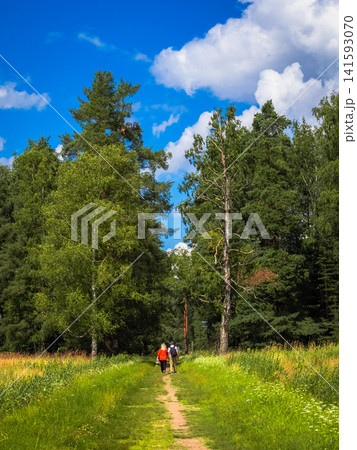 Two hikers walk along a grassy path under a bright blue sky, vertical view Two hikers walk along a grassy path under a bright blue sky, vertical view 141593070