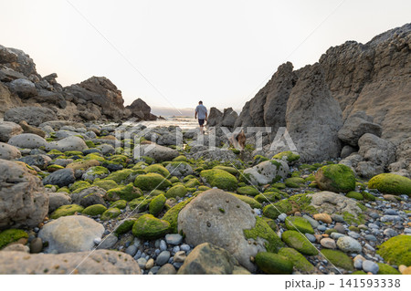 Walking on a rocky shore with a dog and green moss at sunset near water 141593338