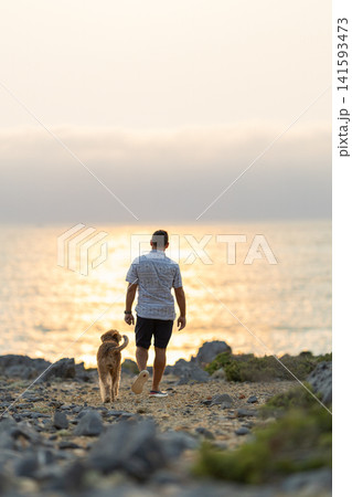 Man and dog walk along rocky beach at sunset near ocean waves 141593473