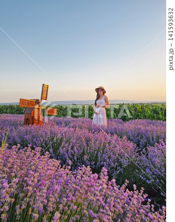A beautiful pregnant woman walking a blooming lavender field wearing a light dress and straw hat, she looks out over a green cornfield at sunset. Summer evening rural landscape A beautiful pregnant woman walking a blooming lavender field wearing a light dress and straw hat, she looks out over a green cornfield at sunset. Summer evening rural landscape 141593632