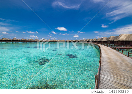 Gorgeous overwater villas above crystal turquoise lagoon connected by wooden boardwalk Maldives luxury resort. Perfect summer vacation travel landscape paradise. Luxury honeymoon getaway scenic Gorgeous overwater villas above crystal turquoise lagoon connected by wooden boardwalk Maldives luxury resort. Perfect summer vacation travel landscape paradise. Luxury honeymoon getaway scenic 141593859