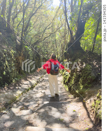 Isolated traveler navigates through glowing forest with reflective mood. Lone adventurer moves along sunlit woodland track holding sacred book in contemplative silence 141594305