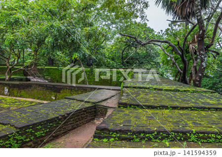 Ancient Royal Palace Ruins in Polonnaruwa, Sri Lanka. Ancient Stone Walls and Staircase Covered in Lush Green Moss Amidst Vibrant Tropical Trees and Foliage 141594359