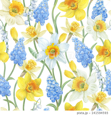 Seamless pattern with spring flowers. Watercolor illustration. Daffodils, lilies of the valley, and muscari. Color image. Illustration for backgrounds and holiday packaging. Seamless pattern with spring flowers. Watercolor illustration. Daffodils, lilies of the valley, and muscari. Color image. Illustration for backgrounds and holiday packaging. 141594593