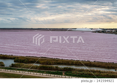 The pink salt lake and the medieval walled Old town of Aigues-Mortes, Camargue, France The pink salt lake and the medieval walled Old town of Aigues-Mortes, Camargue, France 141594921