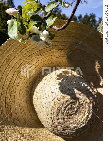 Straw hat with apple blossoms and a soft shadow on a sunny day, illustrating how people cope with high temperatures in Europe. Straw hat with apple blossoms and a soft shadow on a sunny day, illustrating how people cope with high temperatures in Europe. 141595012