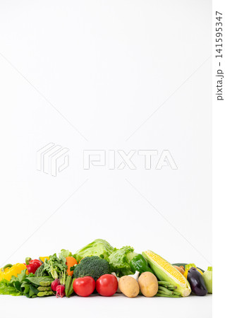 新鮮な野菜 新鮮な野菜 141595347