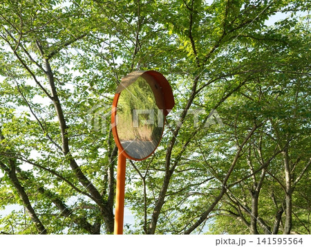 緑に映えるカーブミラー 141595564