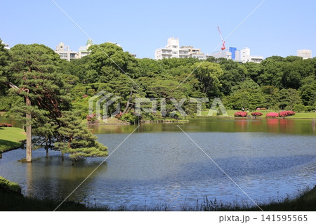 日本庭園の六義園 日本庭園の六義園 141595565