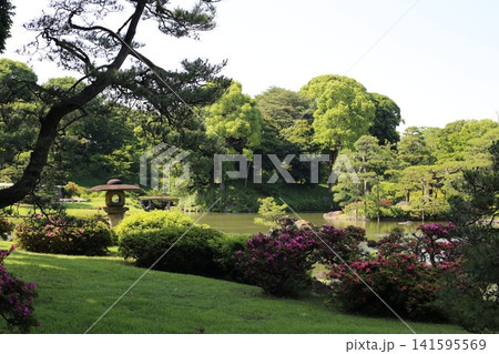 東京都文京区にある六義園 141595569