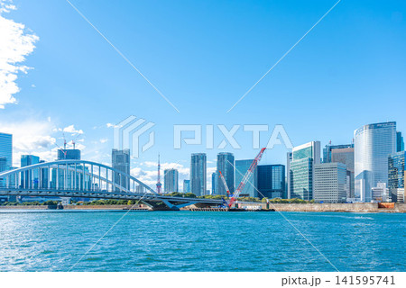 新橋汐留地区の高層ビル群と都市風景 新橋汐留地区の高層ビル群と都市風景 141595741