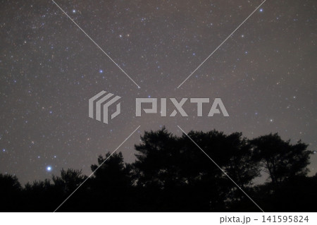奈良県野迫川村の夏の星空6 奈良県野迫川村の夏の星空6 141595824